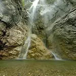 Natura Tra Bosco E Apartamento *
