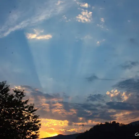 Natura Tra Bosco E Apartamento *