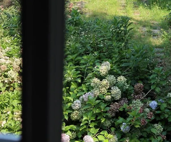 Natura Tra Bosco E Apartamento *