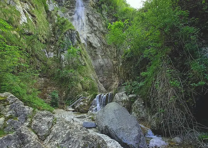 Natura Tra Bosco E Apartamento