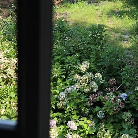 Natura Tra Bosco E Appartement *