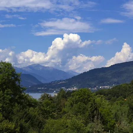 Natura Tra Bosco E *