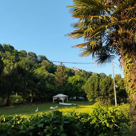 Apartment Natura Tra Bosco E Castelveccana