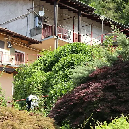 Natura Tra Bosco E Apartment