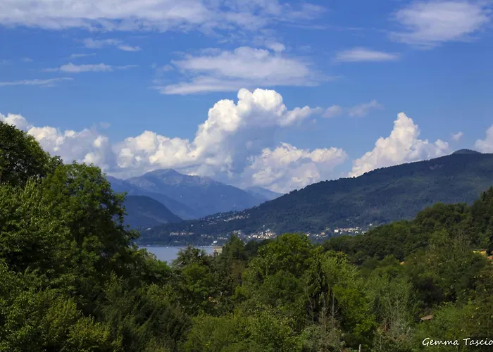 Natura Tra Bosco E *