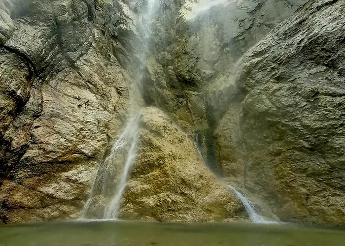 Natura Tra Bosco E Appartement *