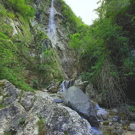 Natura Tra Bosco E Appartement