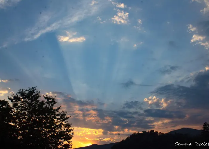Natura Tra Bosco E Apartament *